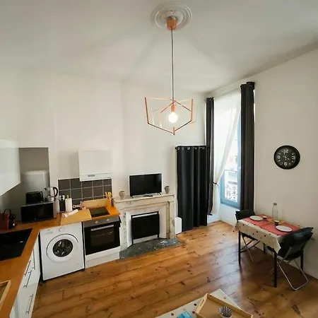 Apartment Bel Appt-quartier Des Halles-2 Pers-animal Accepte Pau